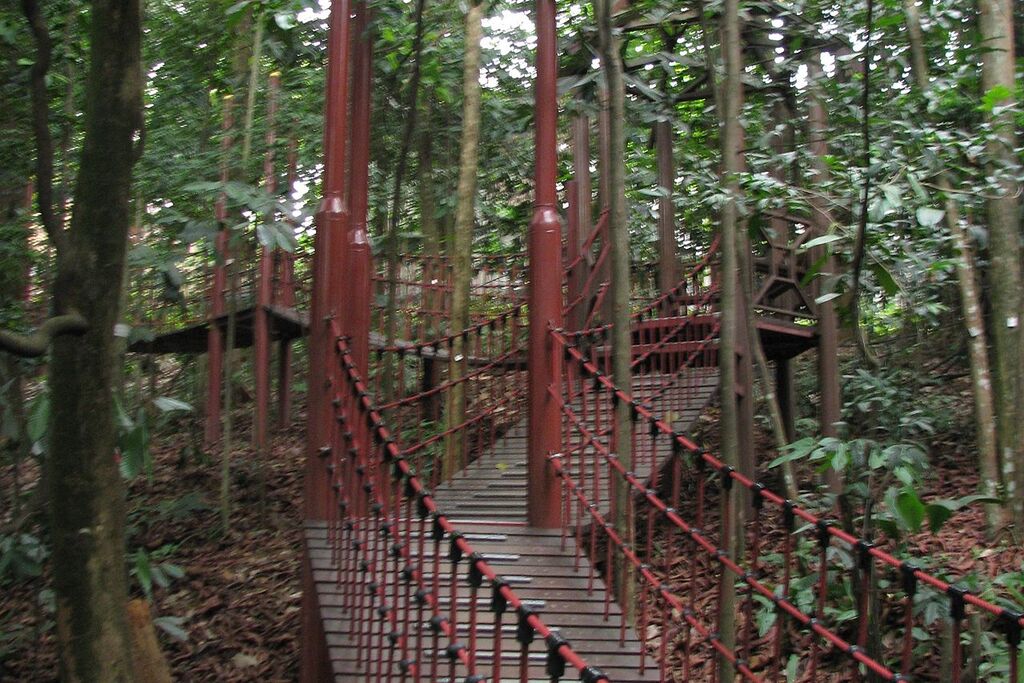 Bukit Nanas Forest Reserve