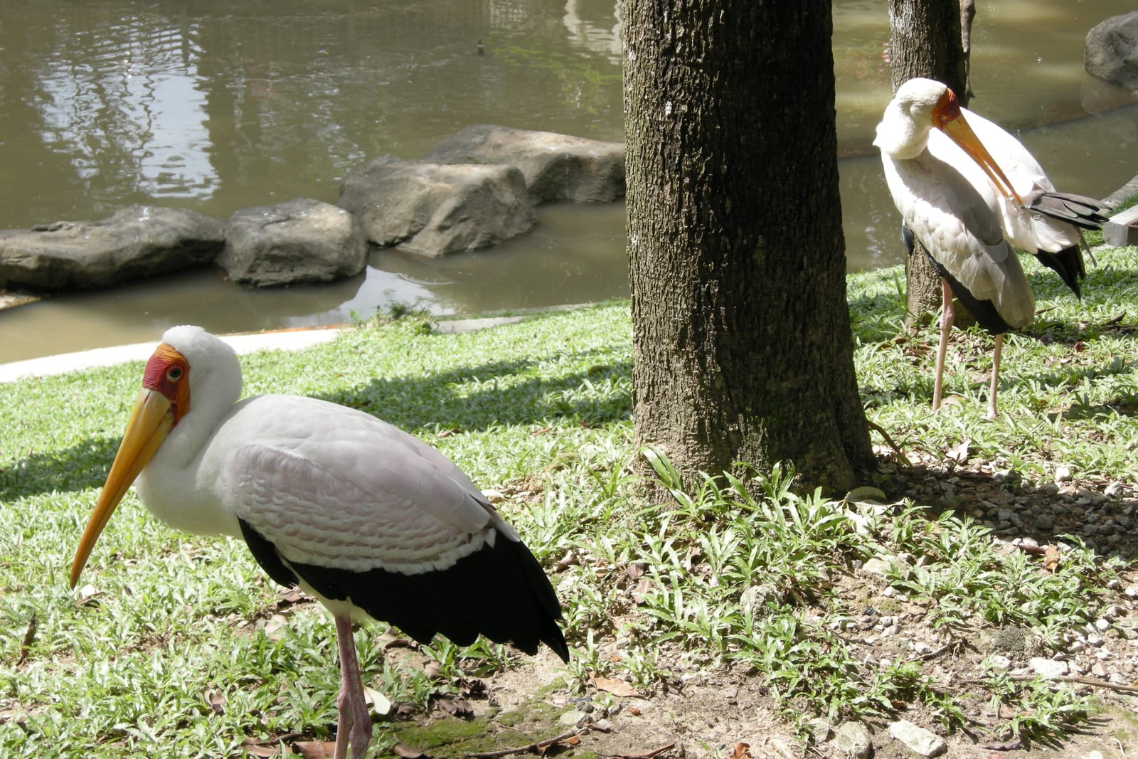 KL Bird Park