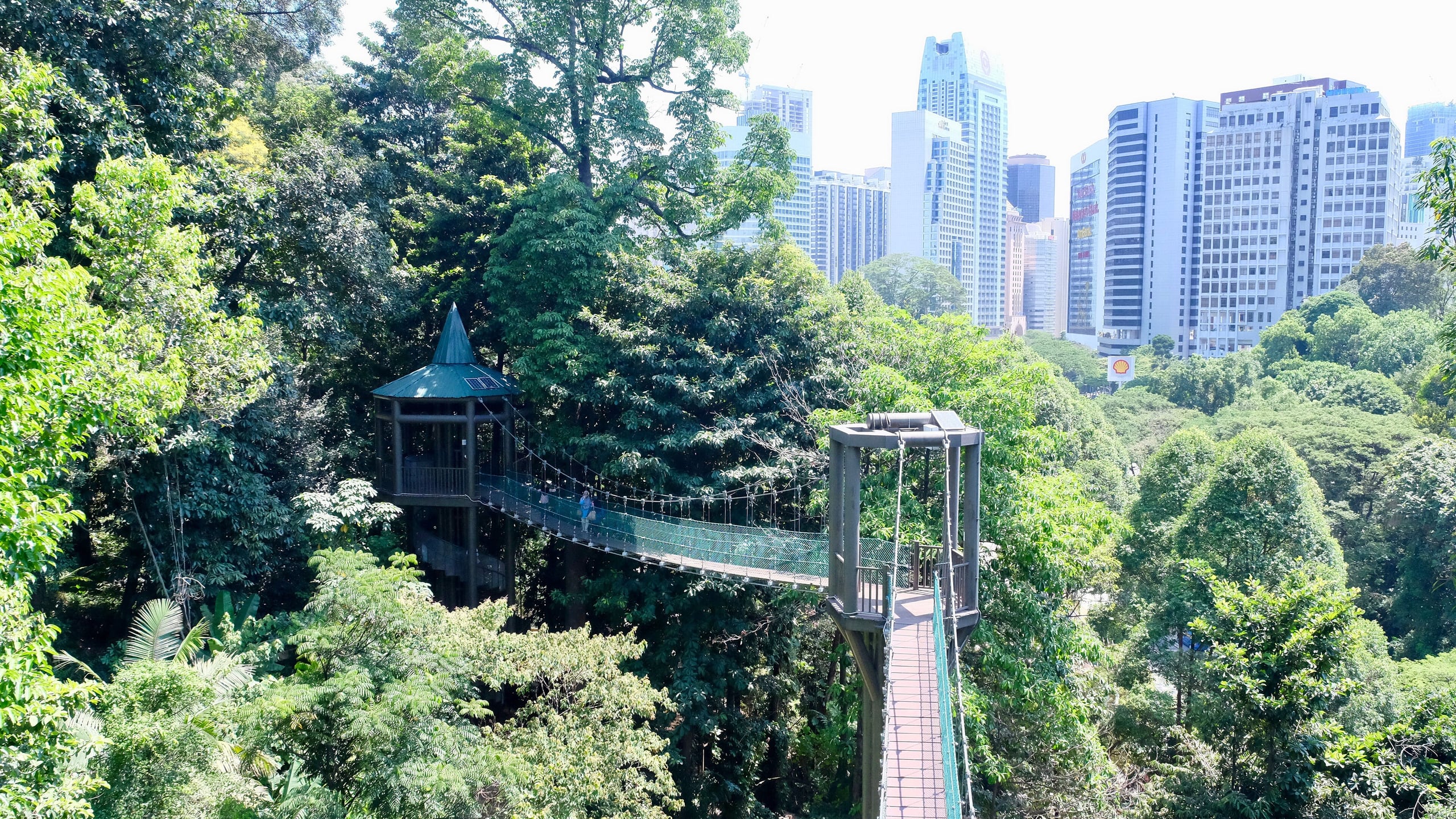 Canopy walk at Bukit Nanas forest reserve with the KL skyline behind
