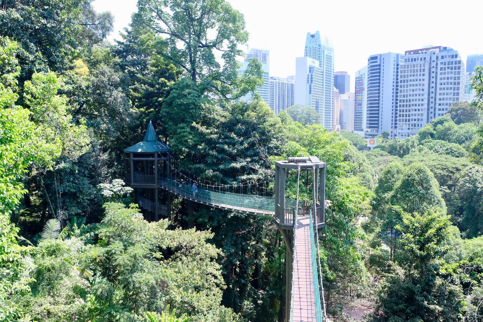 Bukit Nanas Forest Reserve